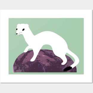 Ermine in winter dress Posters and Art